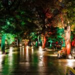 中野セントラルパーク クリスマスライトアップ｜11月20日（木）〜12月25日（木）中野で楽しむ屋外イルミネーション